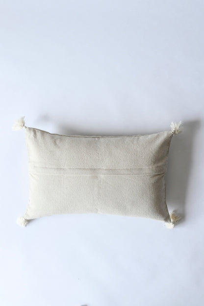 Naya Fringed Pillow Cover