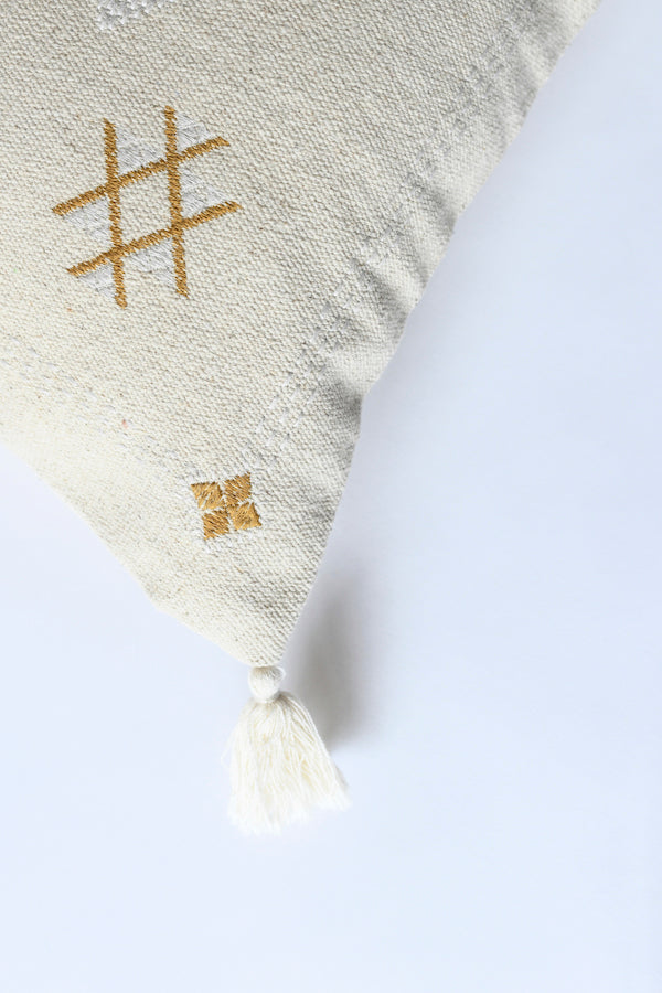 Naya Fringed Pillow Cover
